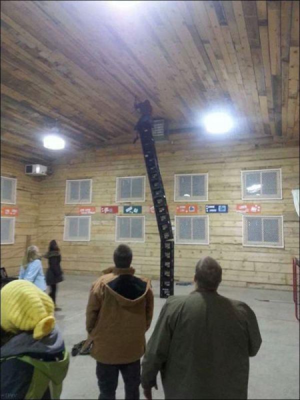 Снимка: izismile