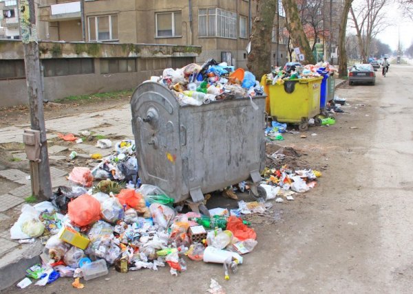 Снимка: Булфото