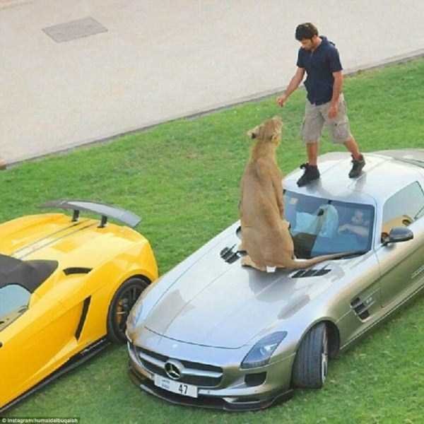 Снимка: klyker.com