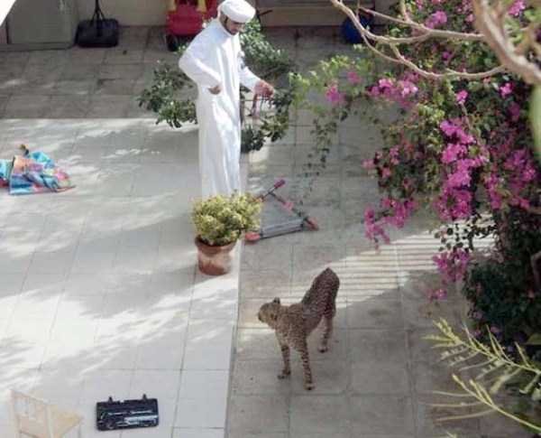 Снимка: klyker.com