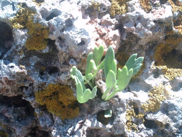 Снимка: Стефанка Пенова, Facebook