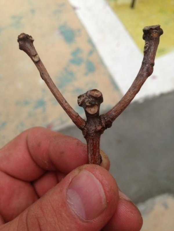 Победа! Аз съм номер едно! Снимка: Adme.ru