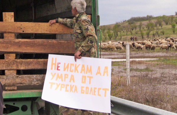 Снимка: БулФото