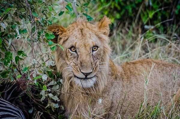 &nbsp;&nbsp;Снимка: klyker.com