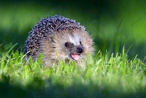 &nbsp;&nbsp;Снимка: klyker.com