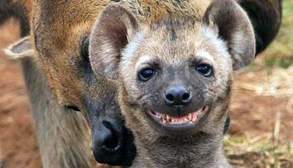 &nbsp;&nbsp;Снимка: klyker.com