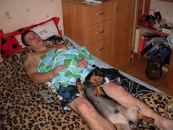 Снимка: оfigenno.cc