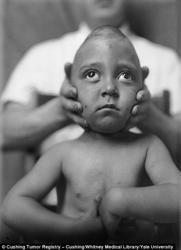 Снимка: Yale University