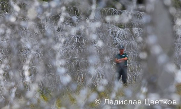 Снимка: Ладислав Цветков/Canon Bulgaria