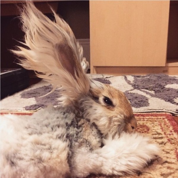 Снимка: Instagram