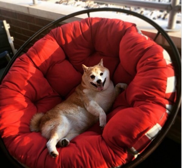 Снимка: Instagram