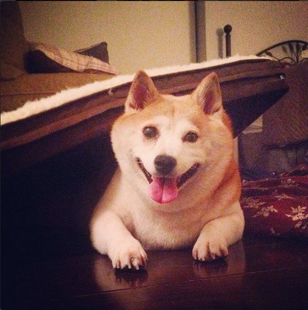 Снимка: Instagram