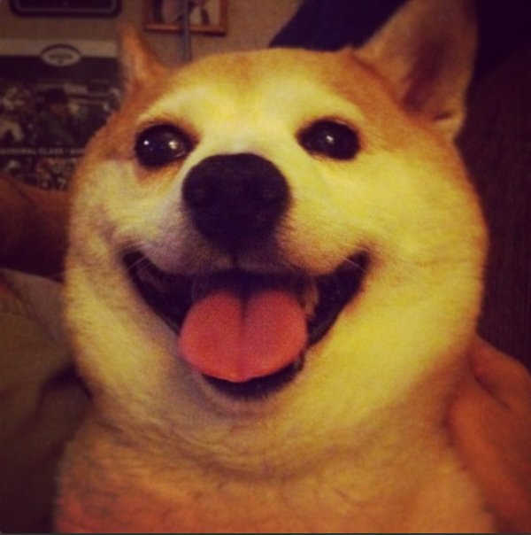Снимка: Instagram