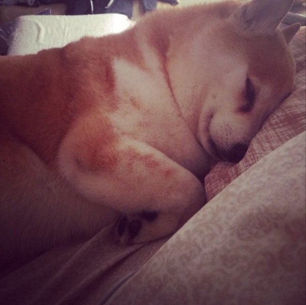 Снимка: Instagram