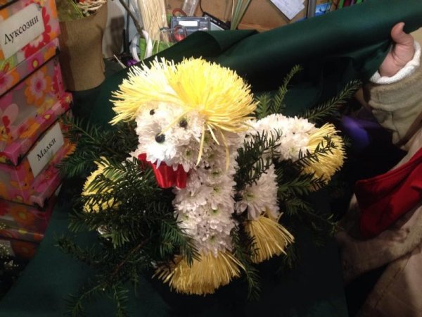 Снимка: Facebook