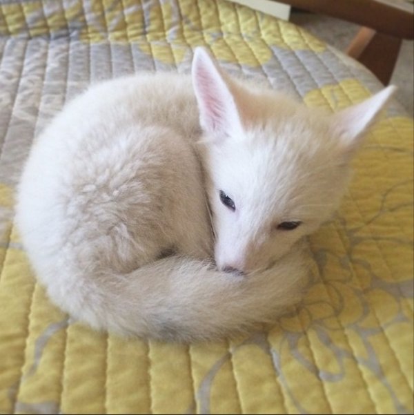 Снимка: Instagram