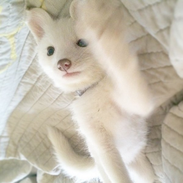 Снимка: Instagram