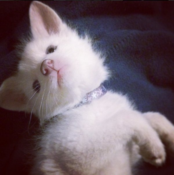 Снимка: Instagram