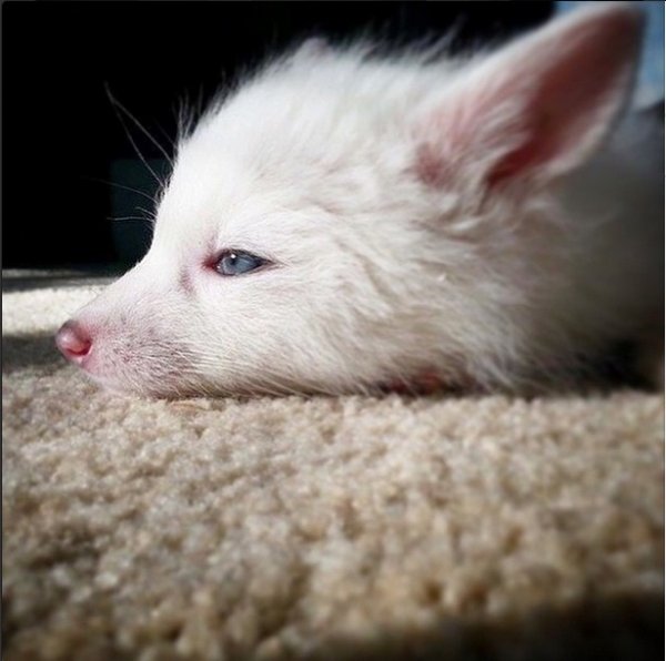 Снимка: Instagram