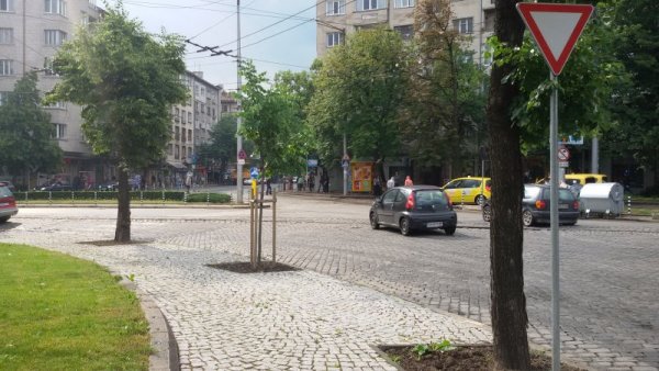 Снимка: Dnes.bg