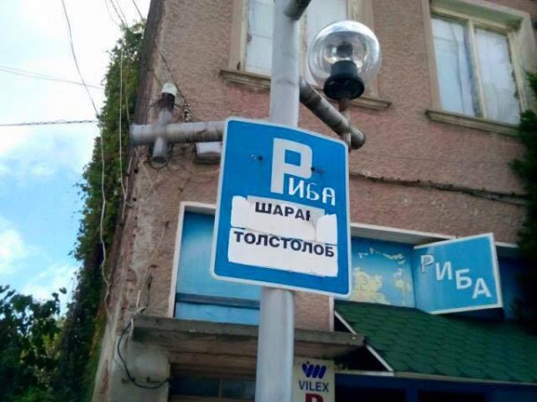 И последно: първи стъпки в маркетинга. Снимка: Facebook