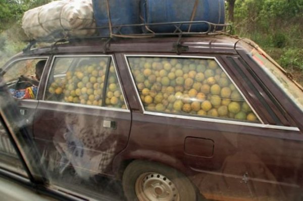 Снимка: pisez.com