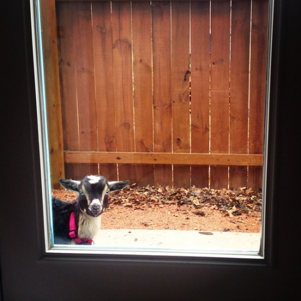 Снимка: ofigenno Хоп, какво имаме тук?