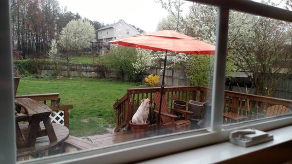 Снимка: ofigenno Приличам ли на китка?