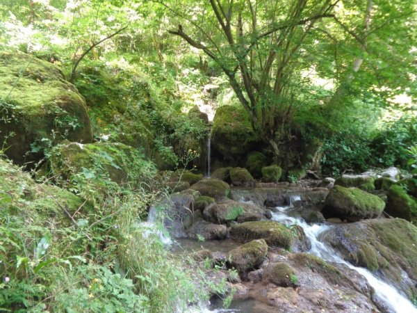 Ето нещо вдъхновяващо след известно разстояние асфалтов път. Снимка: Dnes.bg