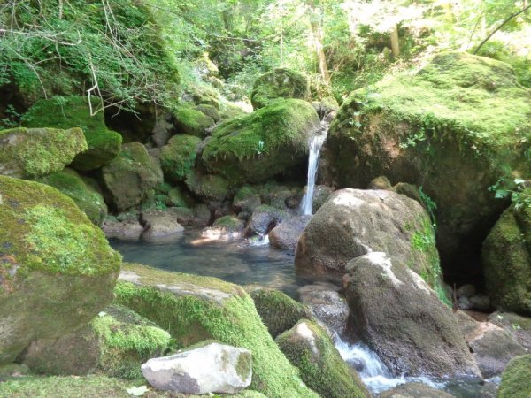 Снимка: Dnes.bg