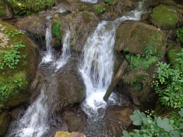 Снимка: Dnes.bg