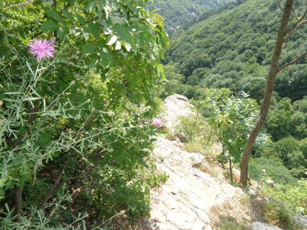 Отвисоко е красиво. Снимка: Dnes.bg