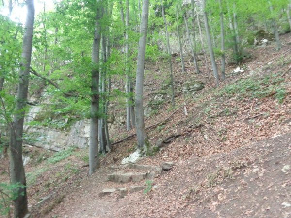 А екопътеката не е трудна, има хубави каменни стъпала. Снимка: Dnes.bg