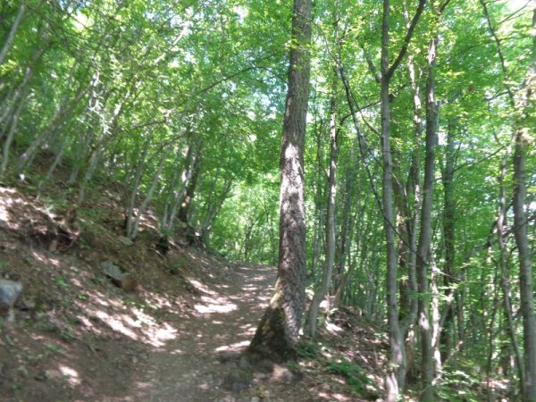 По-ниската й част е приятно прохладна. Снимка: Dnes.bg