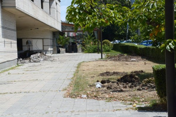 Снимка: Булфото