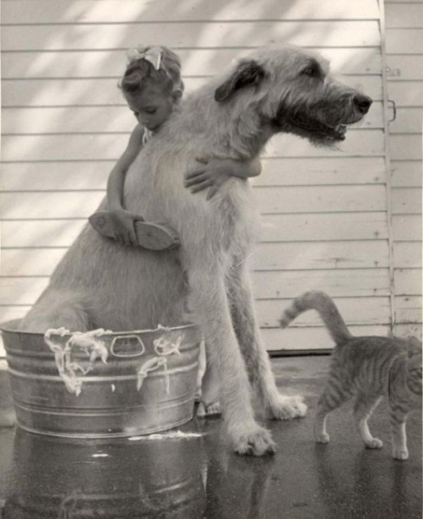 &nbsp;Снимка: ofigenno