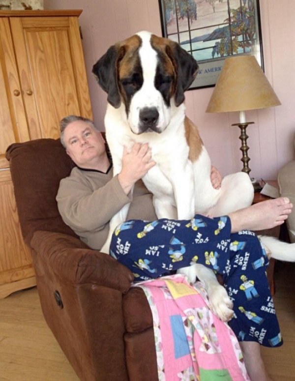 &nbsp;Снимка: ofigenno