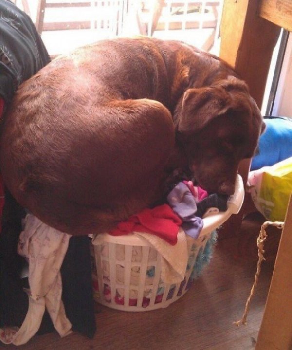 &nbsp;Снимка: ofigenno