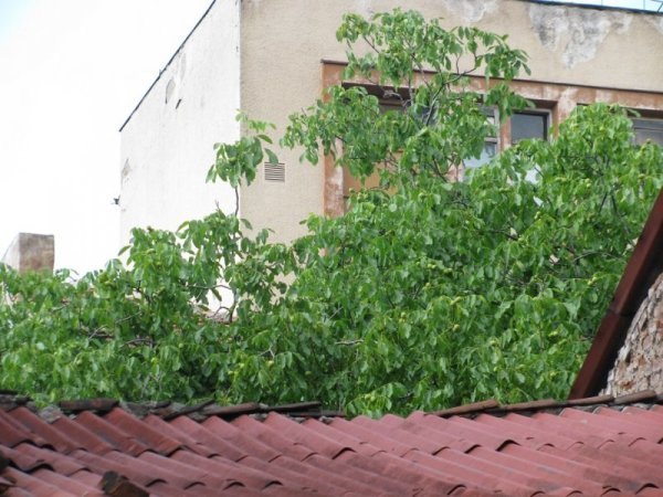 Снимка: Dnes.bg