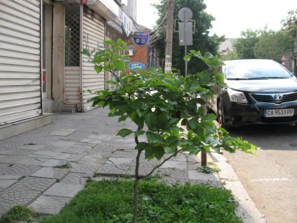 Снимка: Dnes.bg