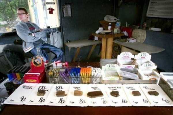 Снимка: izismile