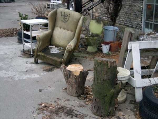 Снимка: izismile