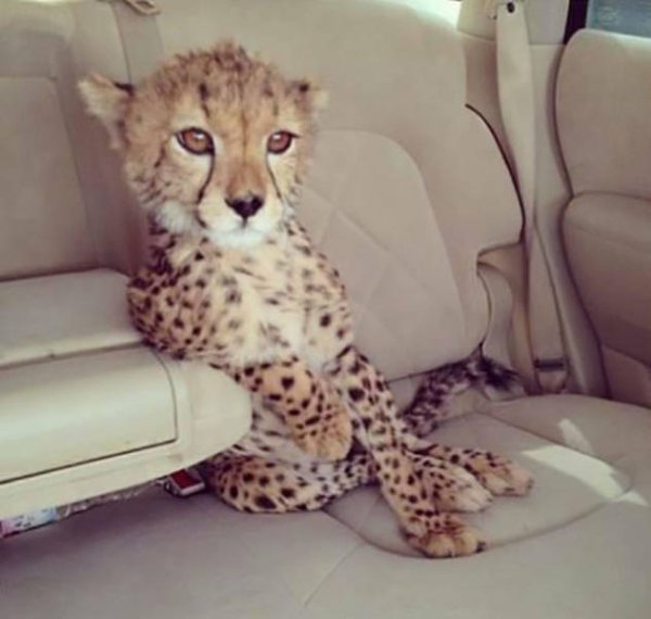 Снимка: Twitter