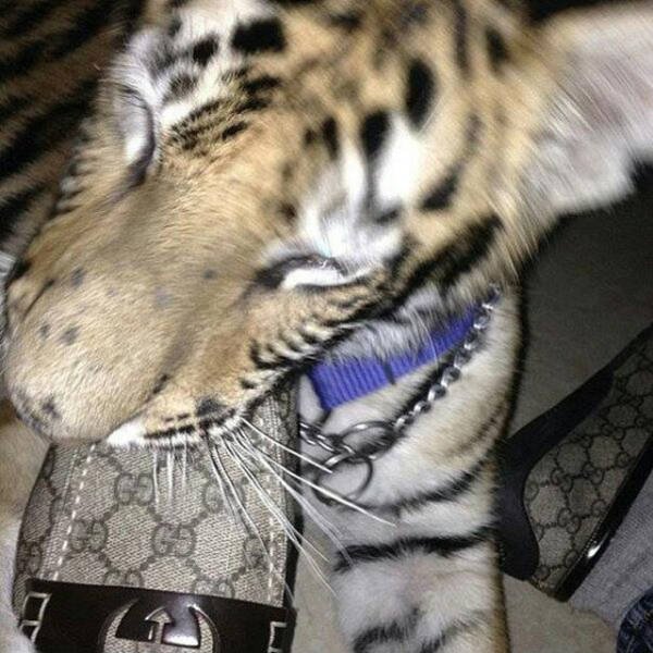 Снимка: Twitter