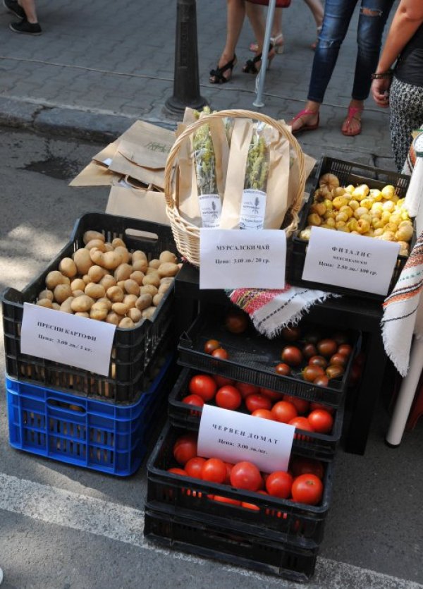 Снимка: Булфото