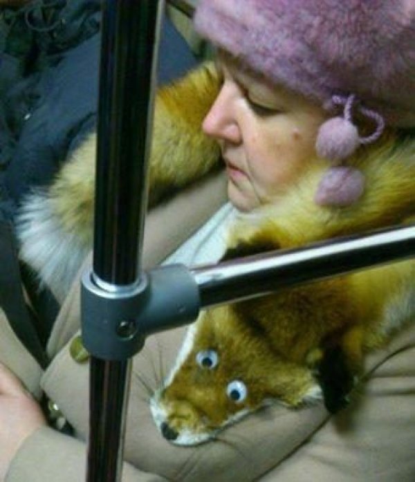 Снимка: pisez.com