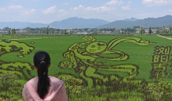 Жена наблюдава интересно декорирано оризище в китайската провинция Хунан. Снимка: БТА