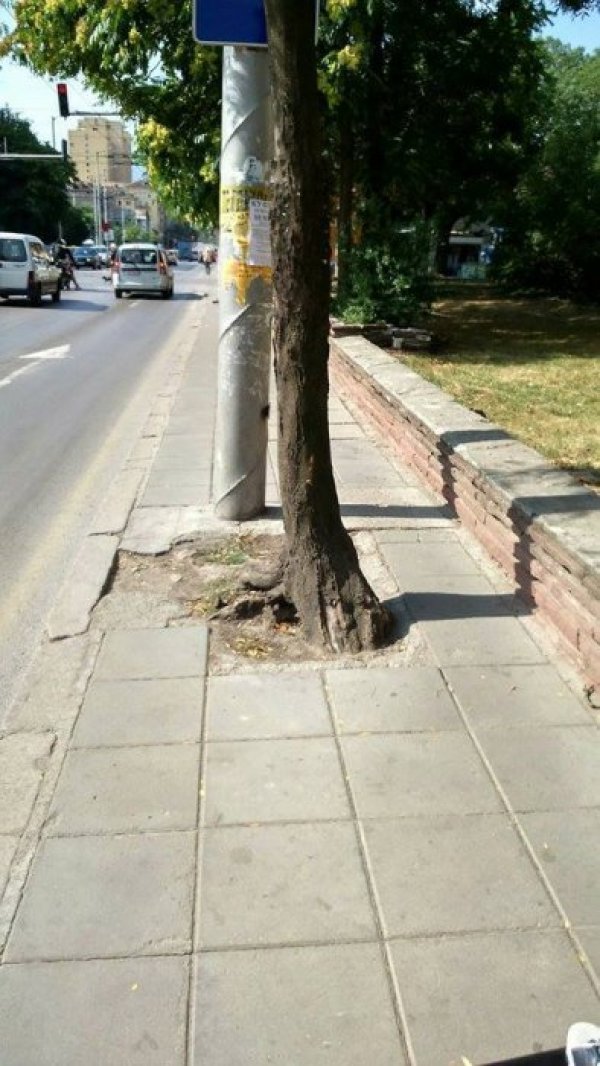 Пълен абсурд на ул. &quot;Опълченска&quot; до парка. Снимка: Елена Димитрова