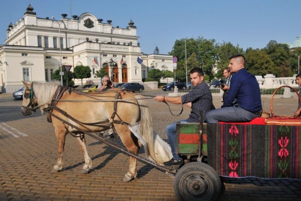 Снимка: Булфото