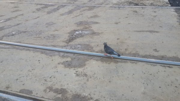 Снимка: Dnes.bg